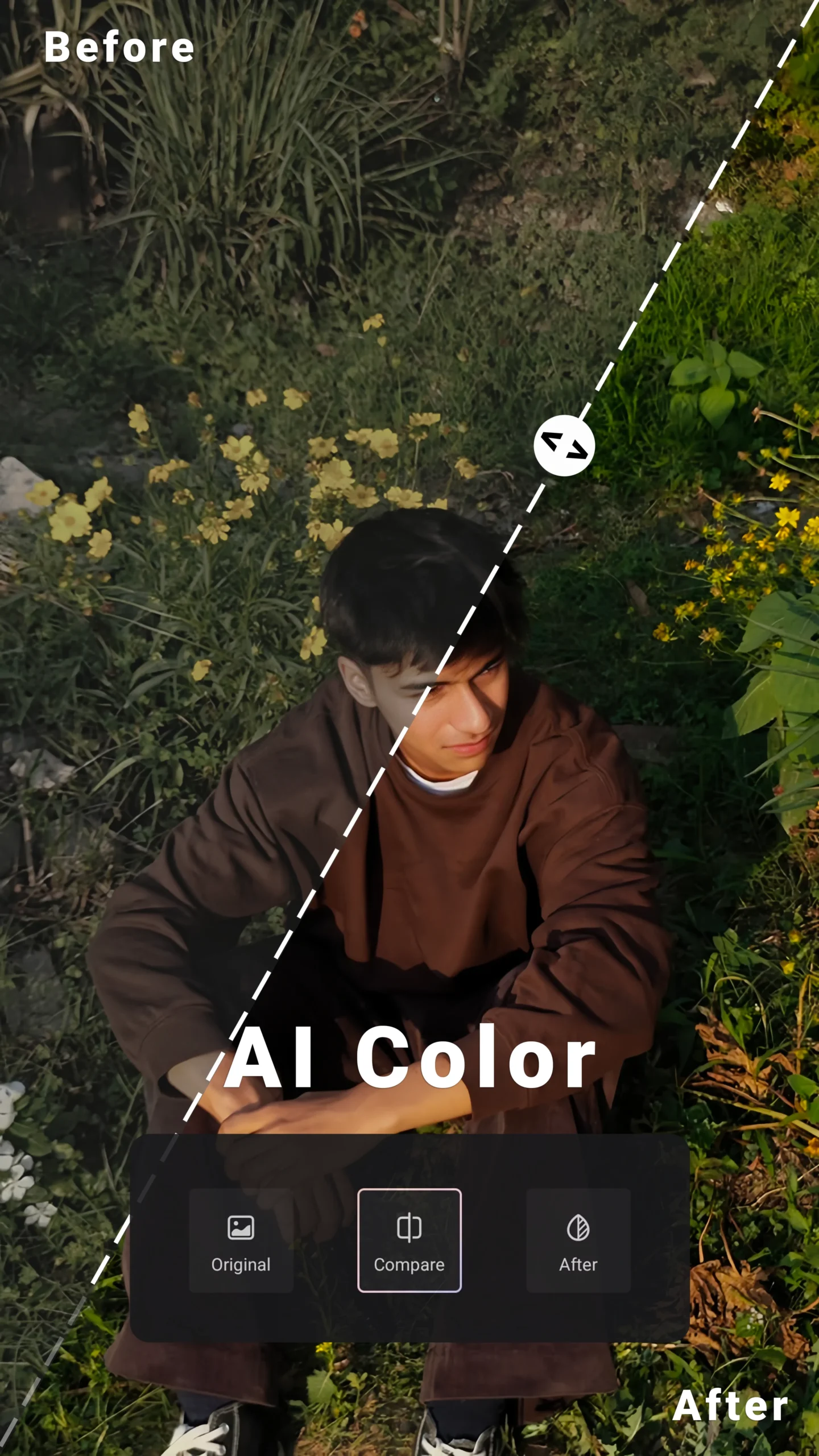 Ai Color Image copy scaled